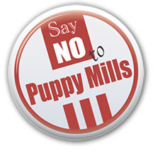 Say no to puppy mills