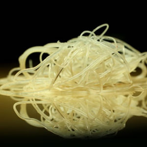 Heartworms look a lot like spaghetti! (Photo courtesy of American Heartworm Society)