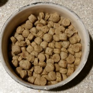 The kibble has nearly doubled in size in 2 hours.