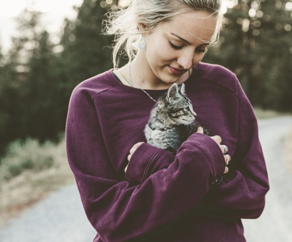 keep your cat if pregnant